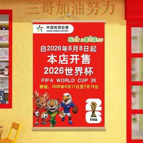 世界杯投注怎么玩别乱选，真实体验给你答案（世界杯直播）